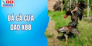 Đá gà cựa dao X88