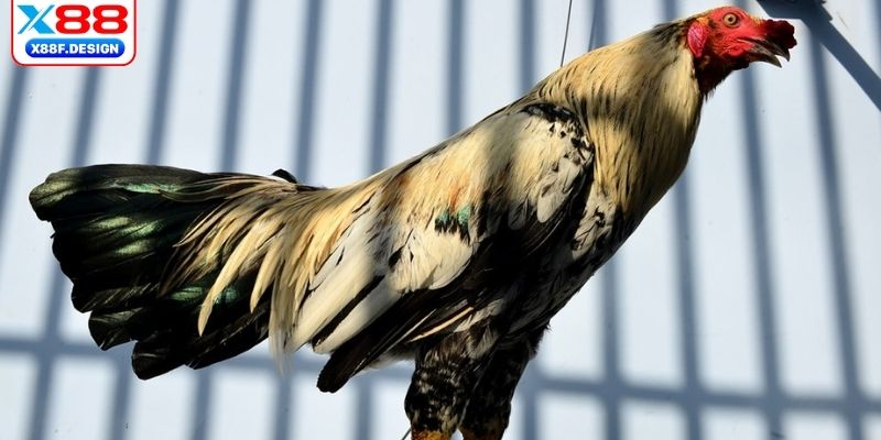 Hệ thống bảo mật dữ liệu tuyệt đối 100% 