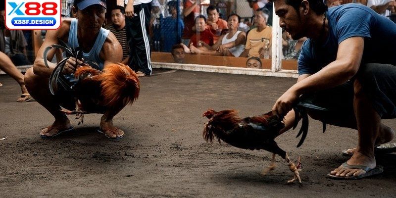 Tầm quan trọng của việc nắm rõ tiếng lóng