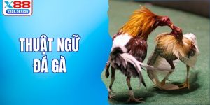 thuật ngữ đá gà